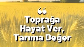 Tarımla Alakalı Sosyal Medya Tasarım