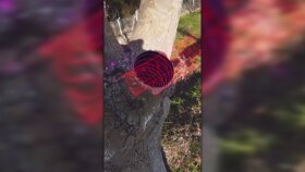 3D videolarım