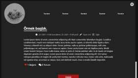 sade bir blog sitesi yapabilirim