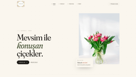 profesyonel web uygulaması geliştiririm