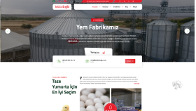 Tekkelioğlu Yumurta & Gıda - Modern Kurumsal Web Tasarımı