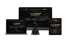 Bitcoin Currency Web Site