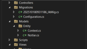 ASP.NET Kullanarak sizler için projeler geliştirebilirim