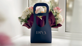 Diva Logo