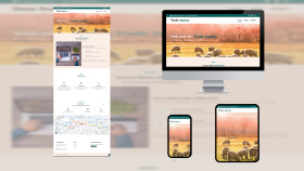 Web Tasarım