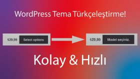 wordpress sitenizi tamamen Türkçe'ye çevirebilirim