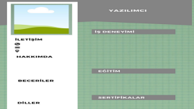 Profesyonel CV hazırlarım