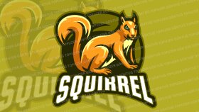 Squirrel Takımı Logo Çalışması