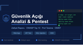 sisteminizin güvenlik açıklarını tespit edip raporlarım