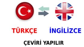 makale ve içeriklerinizi İngilizce ve Türkçe yazabilirim