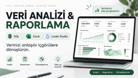  verilerinizi analiz eder ve dashboard hazırlarım