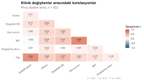 Spearman Korelasyon Isı Haritası