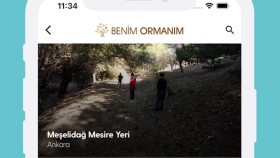 Benim Ormanım