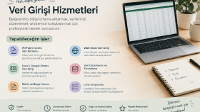Veri girisi