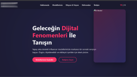 yönetim panelli özel web siteleri geliştiriyorum