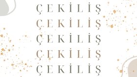 Örnek Çalışmalar