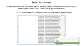 100 binden fazla sayfası olan bir web sitesini analiz ettim