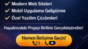Profesyonel Web Sitesi 