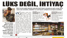 Gazete tasarımı