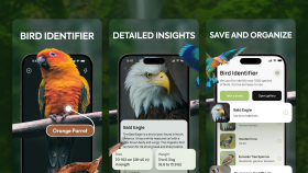Bird Identifier - App Store Görselleri