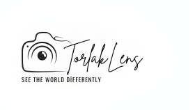 Logo Tasarımı