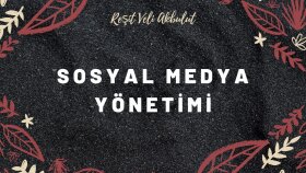 profesyonel sosyal medya yönetimi yaparım