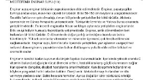 Enginar Suyu