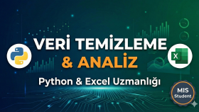 karmaşık verilerinizi Python ile analiz eder ve raporlarım