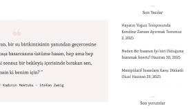 web sitelerinizi güzel temalarla düzenlerim