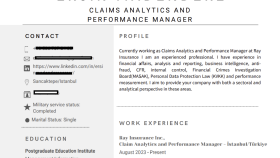 Hasar Analitik ve Sigorta Uzmanı için profesyonel CV