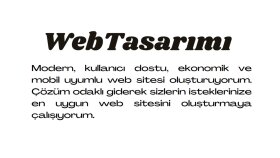 Profesyonel Web Sitesi