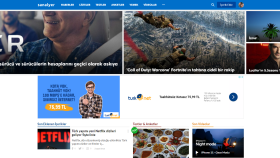 sanalyer.com