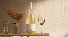 Arkbörk Wine - Packaging Design