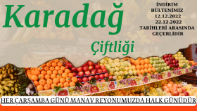 Insert&broşür tasarımı
