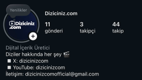 Diziciniz.com hesap yönetimi