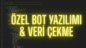sitelerden veri çeken bot ve otomasyon yazılımı yaparım