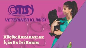 Kendi tarzını oluştur...
