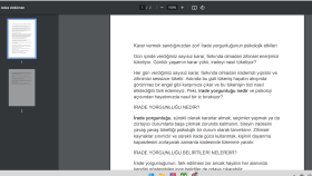 WEB SİTE İÇERİĞİ