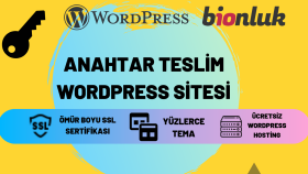 kaliteli ve ucuz, Wordpress web sitesi oluşturabilirim