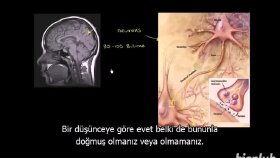 Çeviri