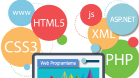 Web Geliştirme & Tasarım 