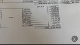 Ofis Asistanlığı