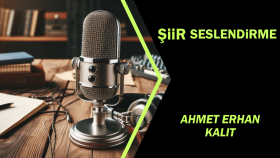 Şiir seslendirmesi