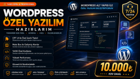 wordpress site hazırlarım