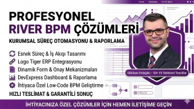 River BPM ile kurumsal süreç otomasyonu ve raporlama yaparım