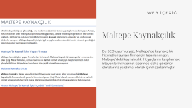 Maltepe'de kaynakçılık / SEO Uyumlu Web İçeriği