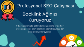 sitenizin organik şekilde yükselişini sağlarım