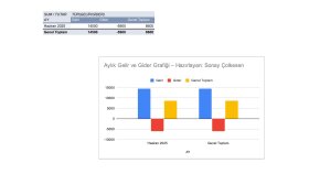 Otomatik Excel Gelir-Gider Tablosu + Grafik Rapor