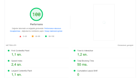 https://marquon.com/ Litespeed Optimizasyonu