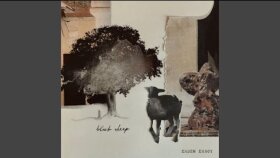 Erdem Ersoy - Pines